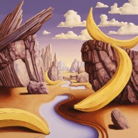 Bananas by Paul Jonkers